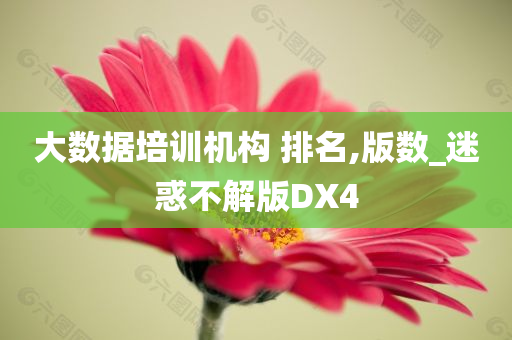 大数据培训机构 排名,版数_迷惑不解版DX4