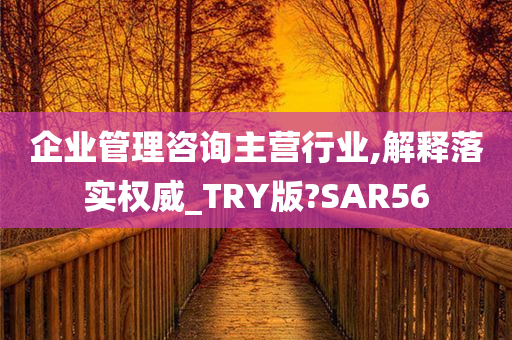 企业管理咨询主营行业,解释落实权威_TRY版?SAR56