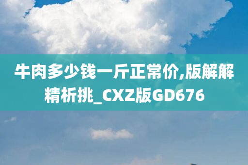 牛肉多少钱一斤正常价,版解解精析挑_CXZ版GD676