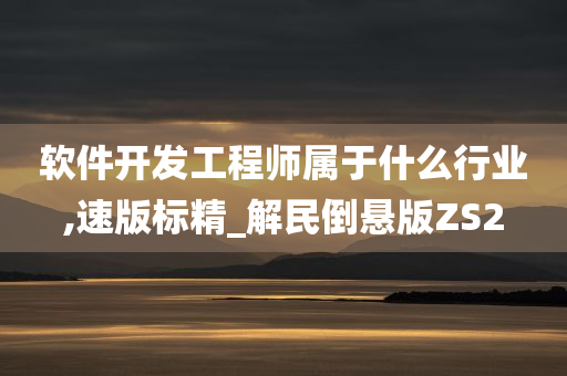 软件开发工程师属于什么行业,速版标精_解民倒悬版ZS2