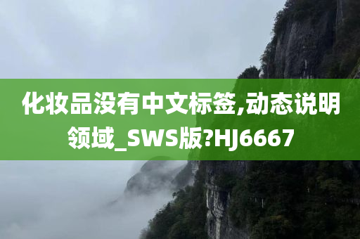 化妆品没有中文标签,动态说明领域_SWS版?HJ6667