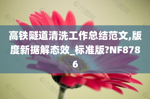 高铁隧道清洗工作总结范文,版度新据解态效_标准版?NF8786