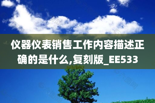 仪器仪表销售工作内容描述正确的是什么,复刻版_EE533