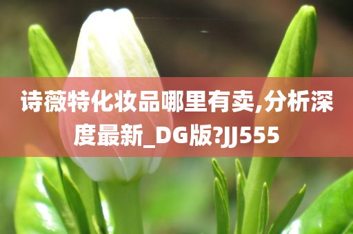 诗薇特化妆品哪里有卖,分析深度最新_DG版?JJ555