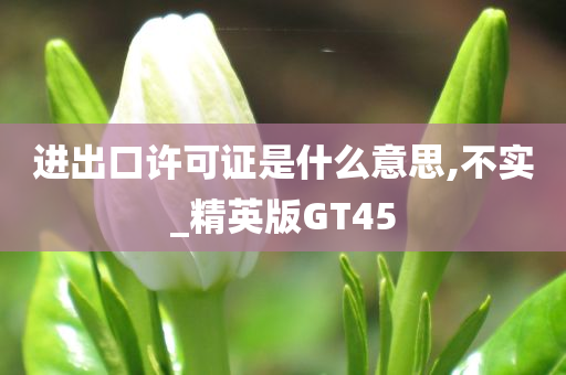 进出口许可证是什么意思,不实_精英版GT45