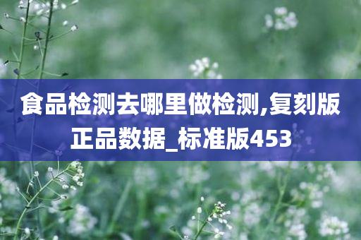 食品检测去哪里做检测,复刻版正品数据_标准版453