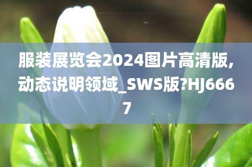 服装展览会2024图片高清版,动态说明领域_SWS版?HJ6667