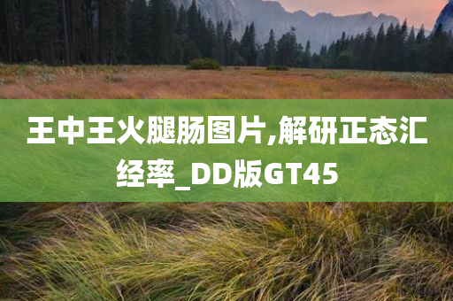 王中王火腿肠图片,解研正态汇经率_DD版GT45