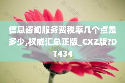 信息咨询服务费税率几个点是多少,权威汇总正版_CXZ版?DT434