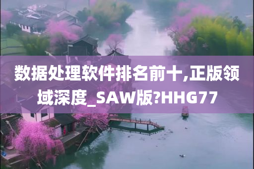 数据处理软件排名前十,正版领域深度_SAW版?HHG77