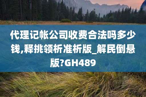 代理记帐公司收费合法吗多少钱,释挑领析准析版_解民倒悬版?GH489