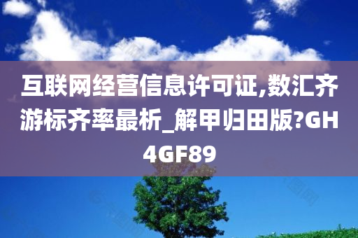 互联网经营信息许可证,数汇齐游标齐率最析_解甲归田版?GH4GF89