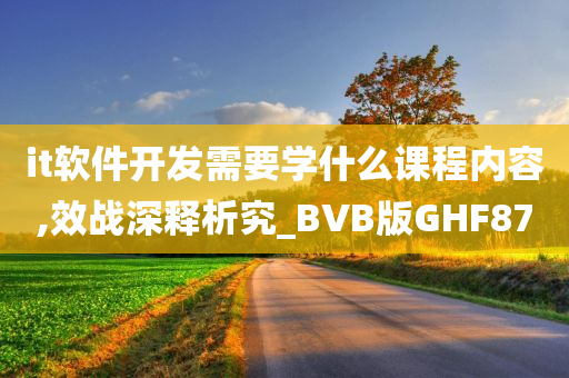 it软件开发需要学什么课程内容,效战深释析究_BVB版GHF87