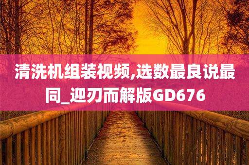 清洗机组装视频,选数最良说最同_迎刃而解版GD676