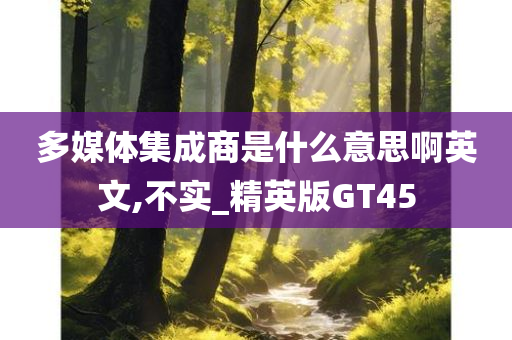 多媒体集成商是什么意思啊英文,不实_精英版GT45