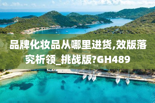 品牌化妆品从哪里进货,效版落究析领_挑战版?GH489