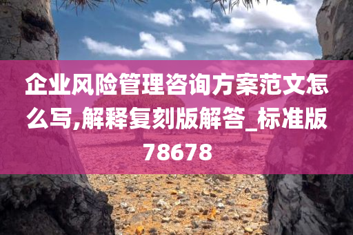 企业风险管理咨询方案范文怎么写,解释复刻版解答_标准版78678