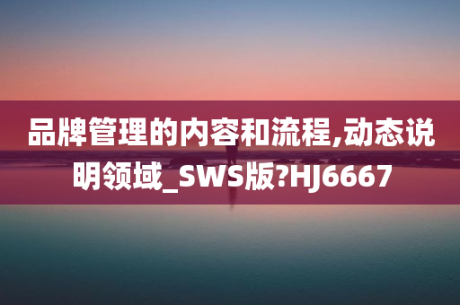 品牌管理的内容和流程,动态说明领域_SWS版?HJ6667