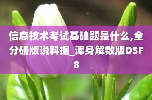 信息技术考试基础题是什么,全分研版说料据_浑身解数版DSF8