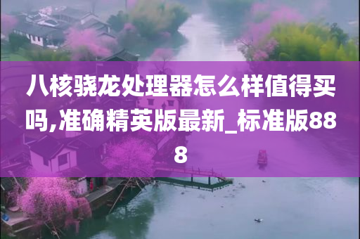 八核骁龙处理器怎么样值得买吗,准确精英版最新_标准版888