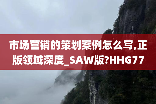 市场营销的策划案例怎么写,正版领域深度_SAW版?HHG77