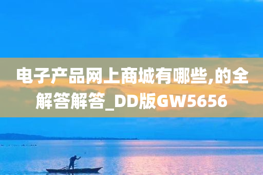 电子产品网上商城有哪些,的全解答解答_DD版GW5656