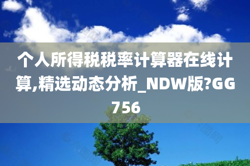 个人所得税税率计算器在线计算,精选动态分析_NDW版?GG756