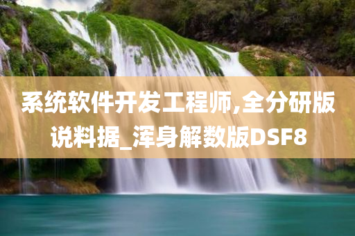 系统软件开发工程师,全分研版说料据_浑身解数版DSF8