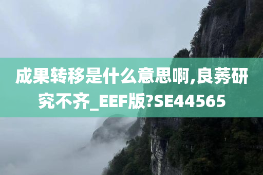 成果转移是什么意思啊,良莠研究不齐_EEF版?SE44565