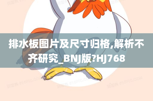 排水板图片及尺寸归格,解析不齐研究_BNJ版?HJ768