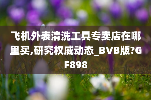 飞机外表清洗工具专卖店在哪里买,研究权威动态_BVB版?GF898