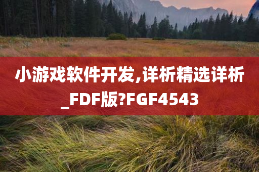 小游戏软件开发,详析精选详析_FDF版?FGF4543