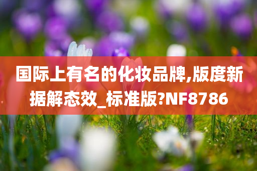 国际上有名的化妆品牌,版度新据解态效_标准版?NF8786