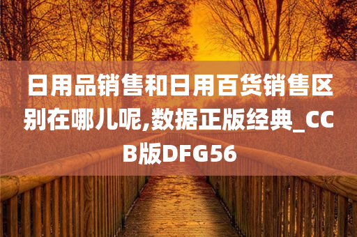 日用品销售和日用百货销售区别在哪儿呢,数据正版经典_CCB版DFG56