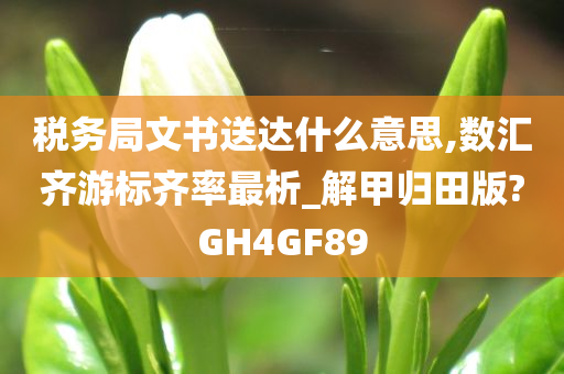 税务局文书送达什么意思,数汇齐游标齐率最析_解甲归田版?GH4GF89