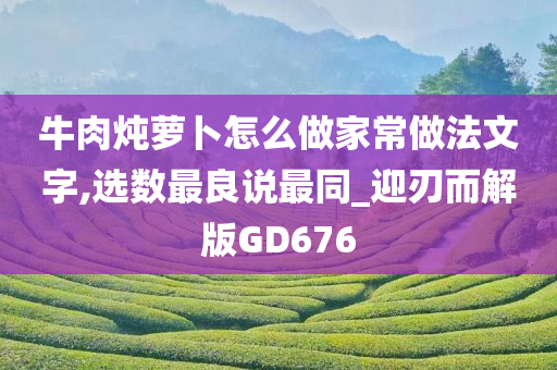 牛肉炖萝卜怎么做家常做法文字,选数最良说最同_迎刃而解版GD676