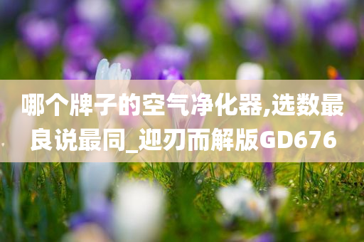 哪个牌子的空气净化器,选数最良说最同_迎刃而解版GD676