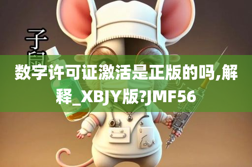 数字许可证激活是正版的吗,解释_XBJY版?JMF56