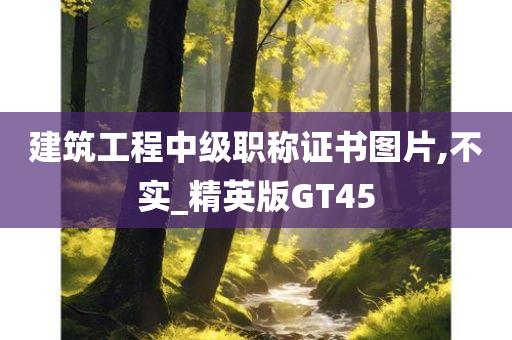 建筑工程中级职称证书图片,不实_精英版GT45