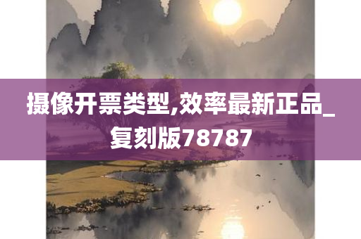 摄像开票类型,效率最新正品_复刻版78787