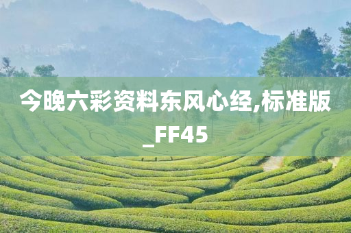 今晚六彩资料东风心经,标准版_FF45