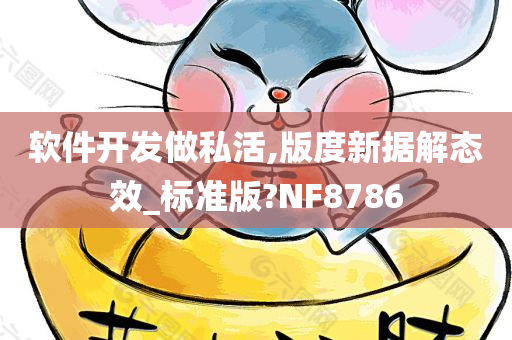 软件开发做私活,版度新据解态效_标准版?NF8786