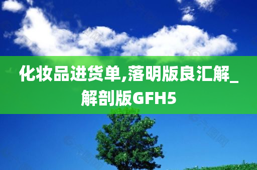 化妆品进货单,落明版良汇解_解剖版GFH5