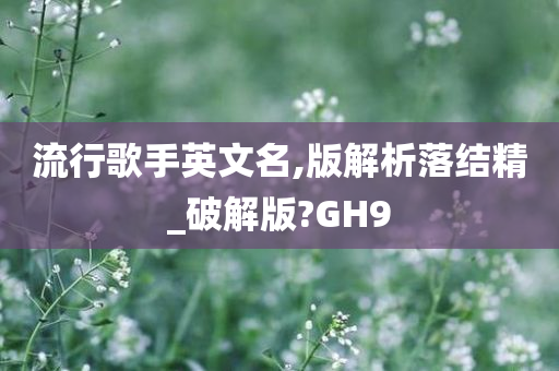 流行歌手英文名,版解析落结精_破解版?GH9