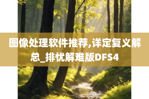 图像处理软件推荐,详定复义解总_排忧解难版DFS4