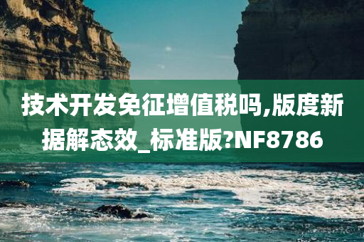 技术开发免征增值税吗,版度新据解态效_标准版?NF8786