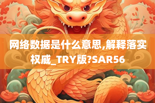 网络数据是什么意思,解释落实权威_TRY版?SAR56