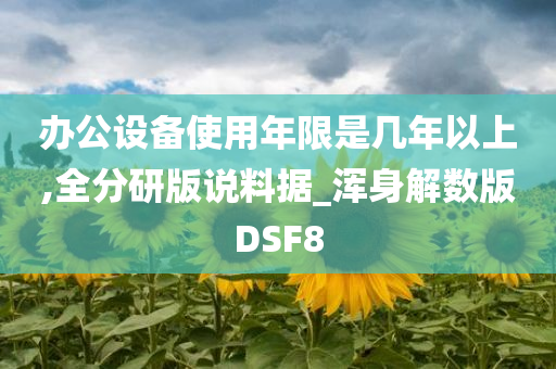 办公设备使用年限是几年以上,全分研版说料据_浑身解数版DSF8