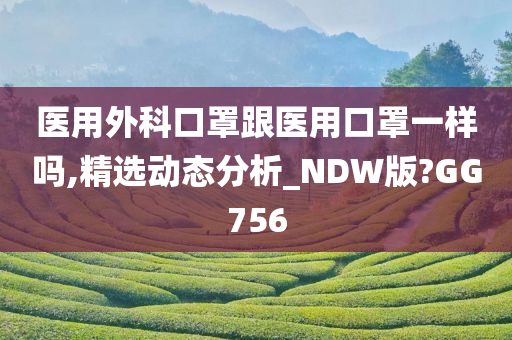 医用外科口罩跟医用口罩一样吗,精选动态分析_NDW版?GG756