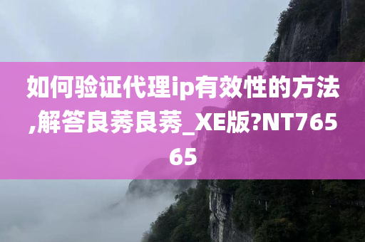 如何验证代理ip有效性的方法,解答良莠良莠_XE版?NT76565